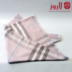 Burberry Scarf and Shawl - Beige and Brown