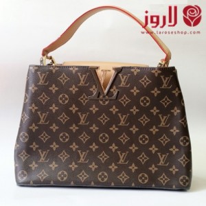 Louis Vuitton Bag .. Brown and Beige