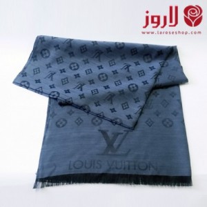 Louis Vuitton Scarf and Shawl - Blue