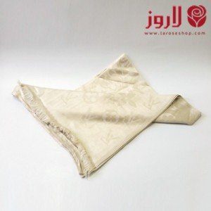 Louis Vuitton Scarf and Shawl - Light Beige