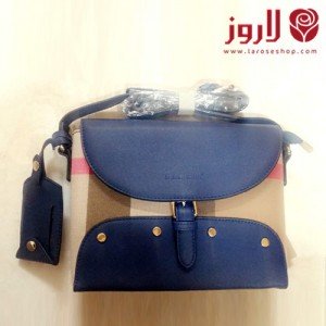 Burberry Bag - Blue and Colors